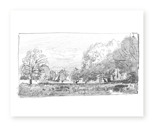 Charcoal Trees 1 - Fine Art Print