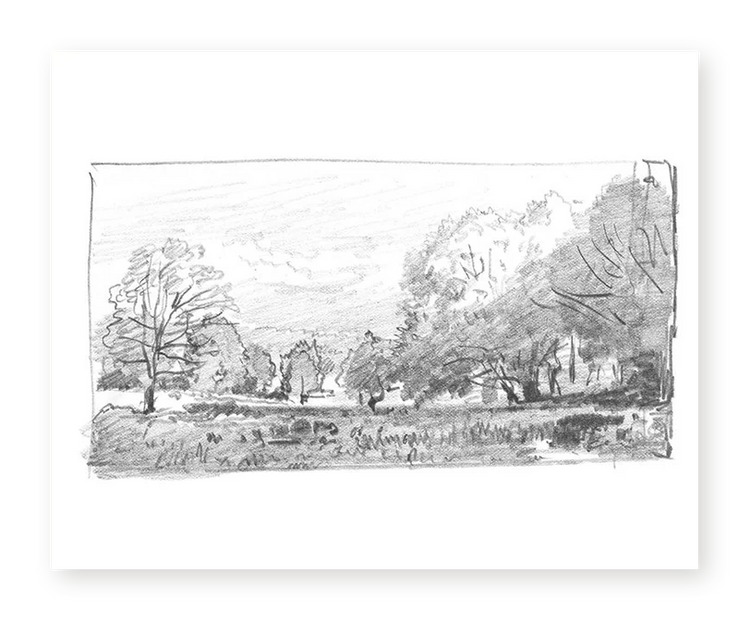 Charcoal Trees 1 - Fine Art Print