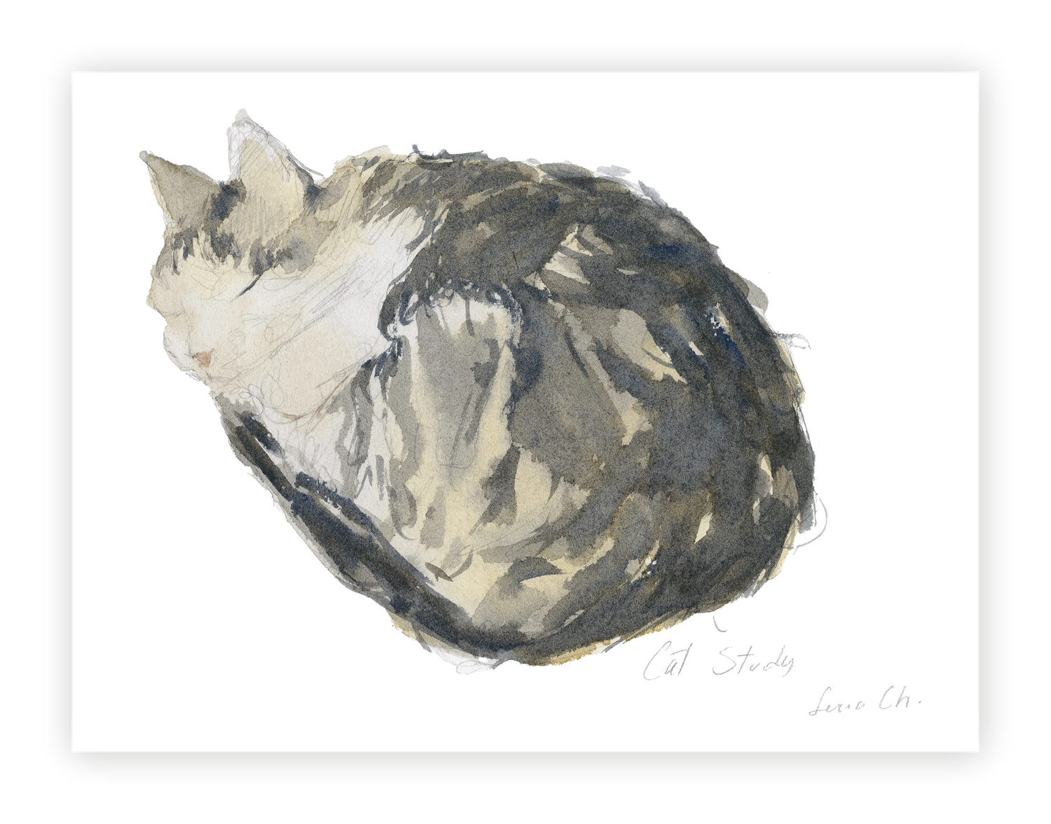 Unframed Smooth Print / 24 x 18