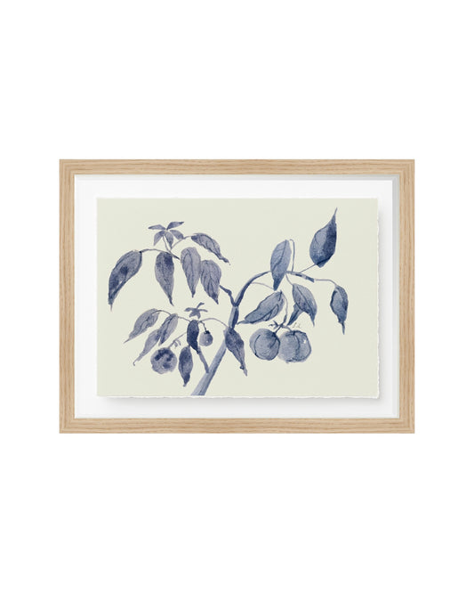 Sunland Botanicals No. 2