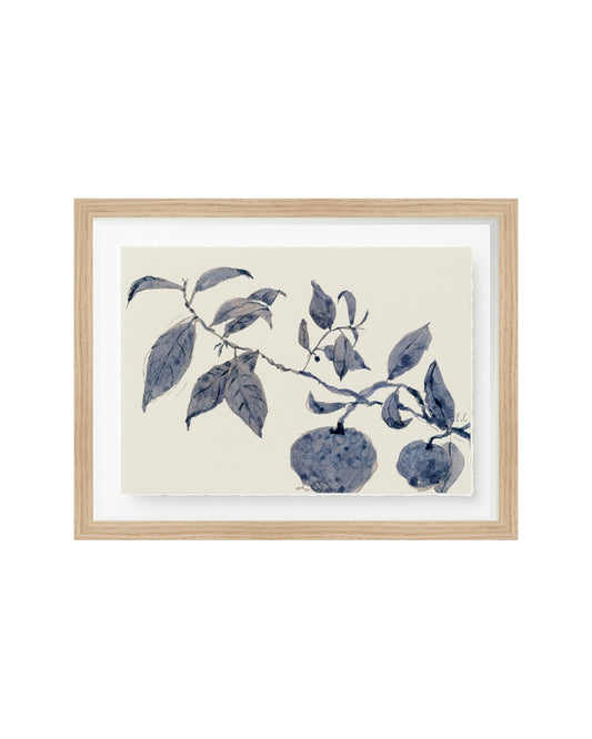 Sunland Botanicals No. 3