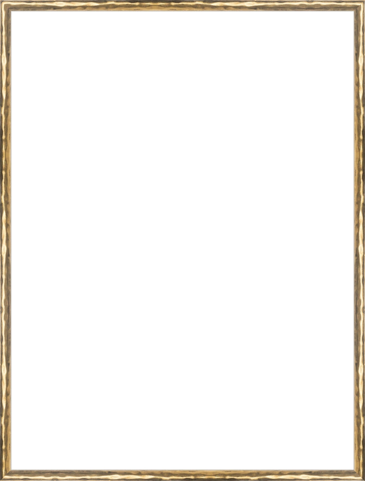 Gold Textured Frame. Opening Size: 24x18. Final Size: 24'' X 18''