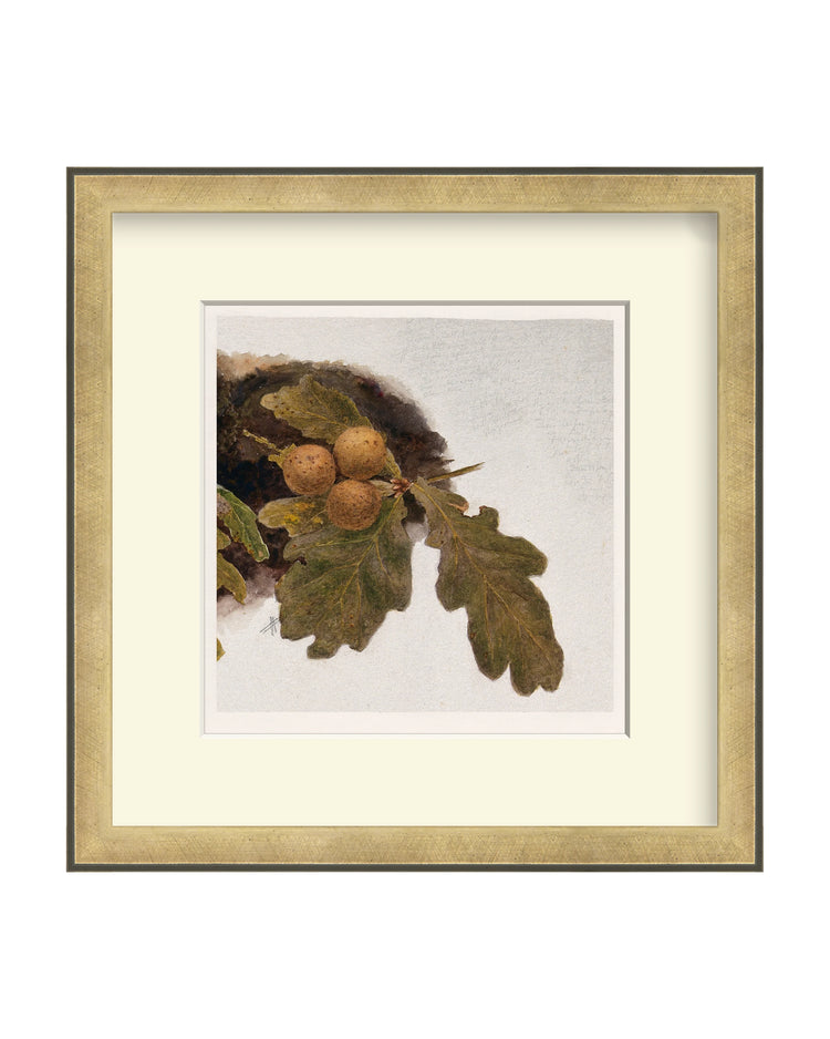 Framed - Atelier Brass - Off-White Mat / 11.88 x 12 / Rag