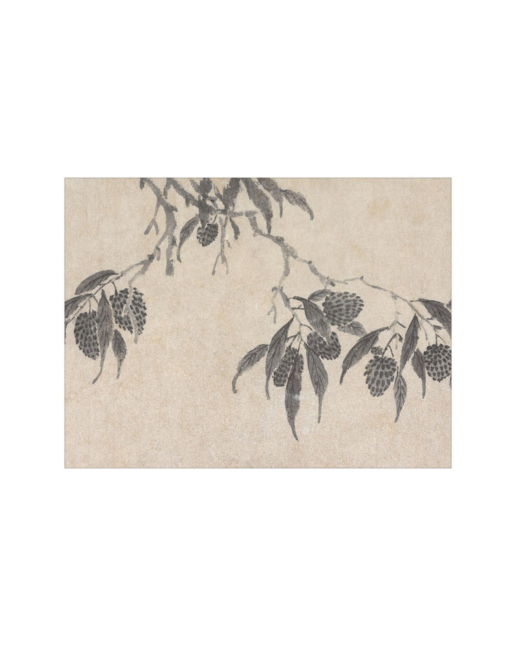Shadowed Blooms 7