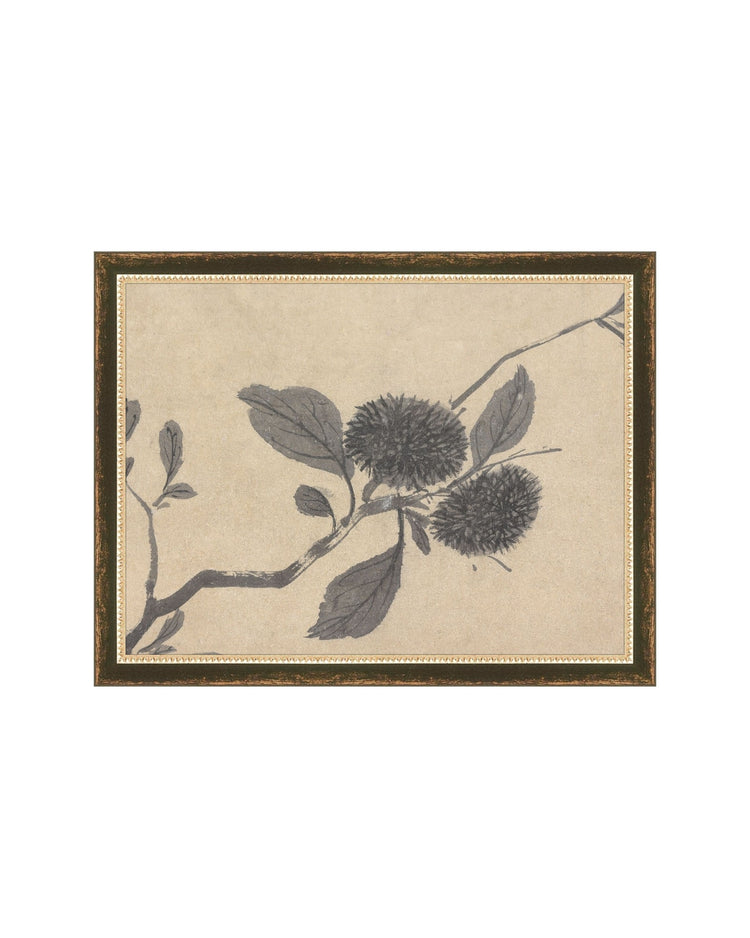 Shadowed Blooms 3