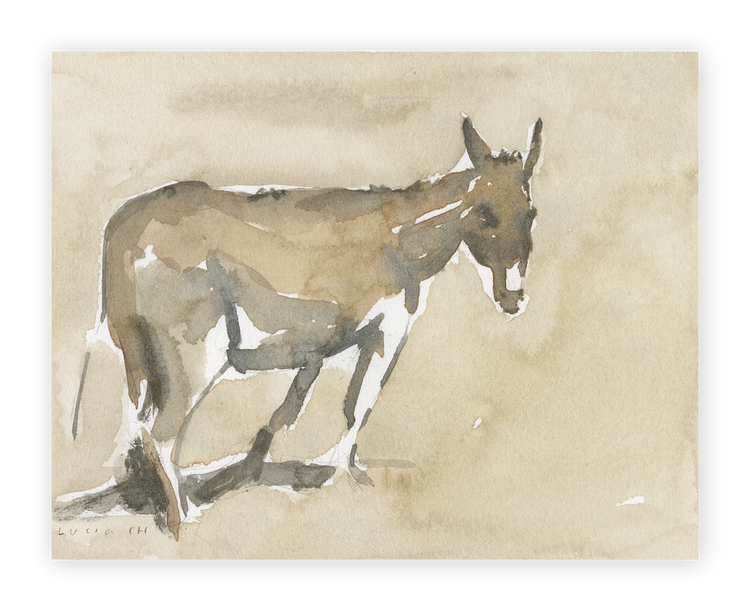 Unframed Smooth Print / 14 x 11