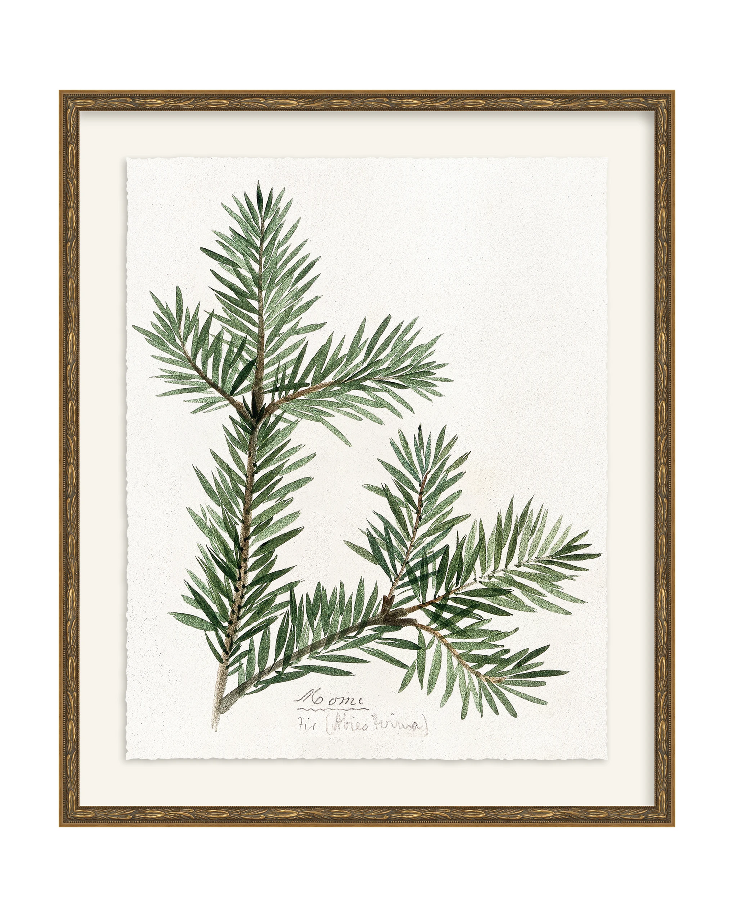 Framed - Laurel Gold - Torchon - Warm White Mat / 20.5 x 24.5