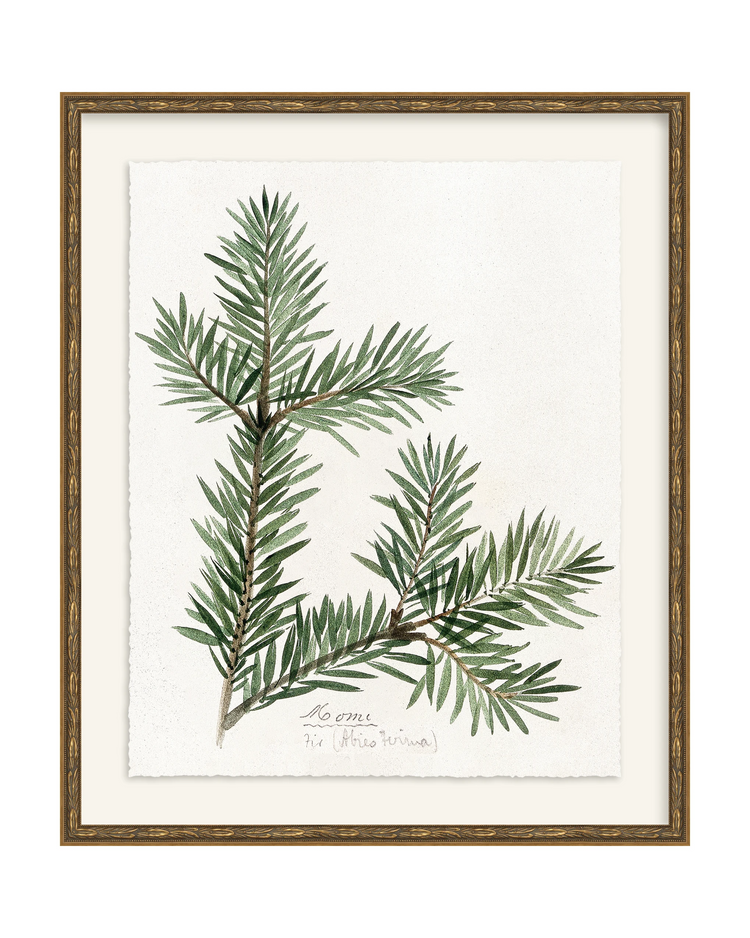 Framed - Laurel Gold - Torchon - Warm White Mat / 20.5 x 24.5