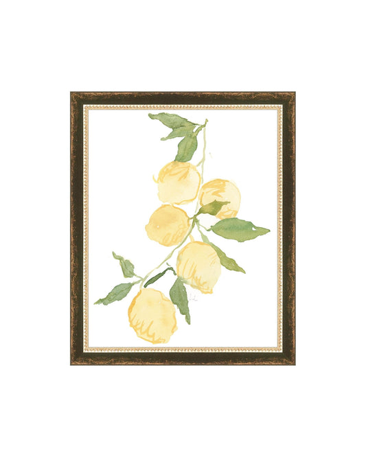 Lemon Branch