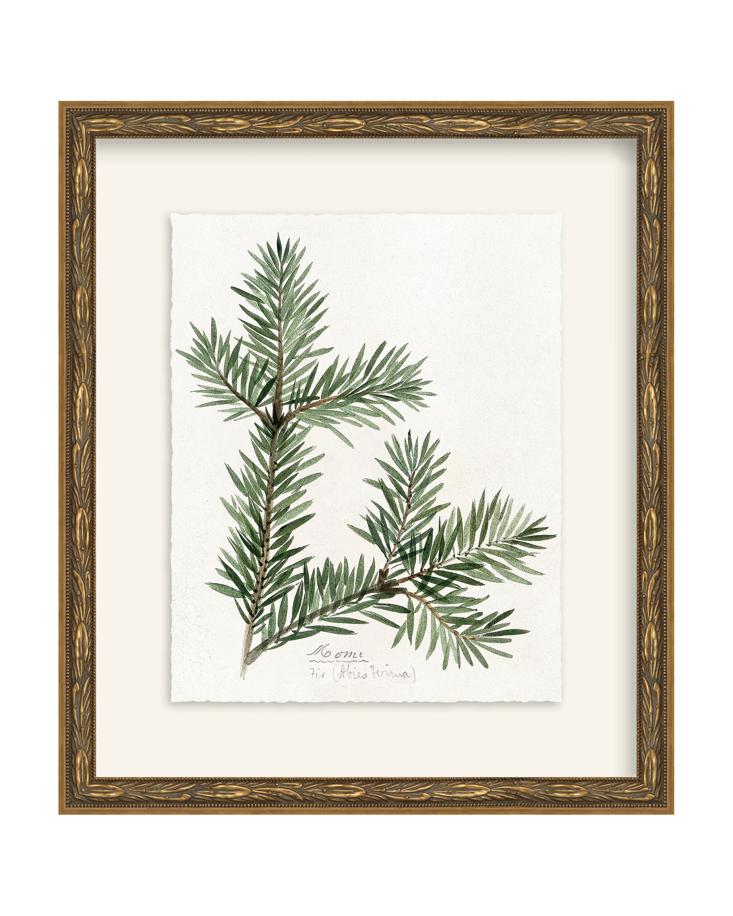 Framed - Laurel Gold - Torchon - Warm White Mat / 12.5 x 14.5