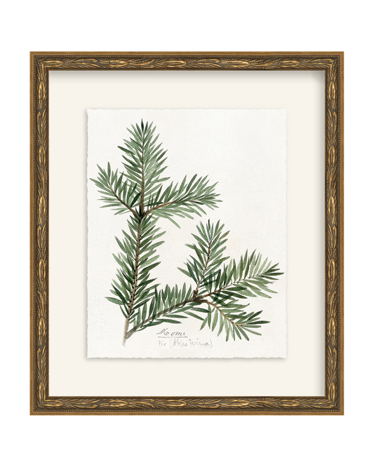 Framed - Laurel Gold - Torchon - Warm White Mat / 12.5 x 14.5