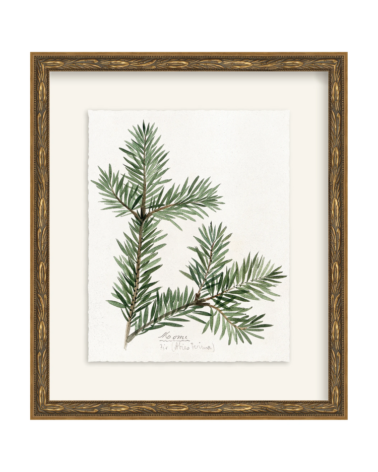 Framed - Laurel Gold - Torchon - Warm White Mat / 12.5 x 14.5