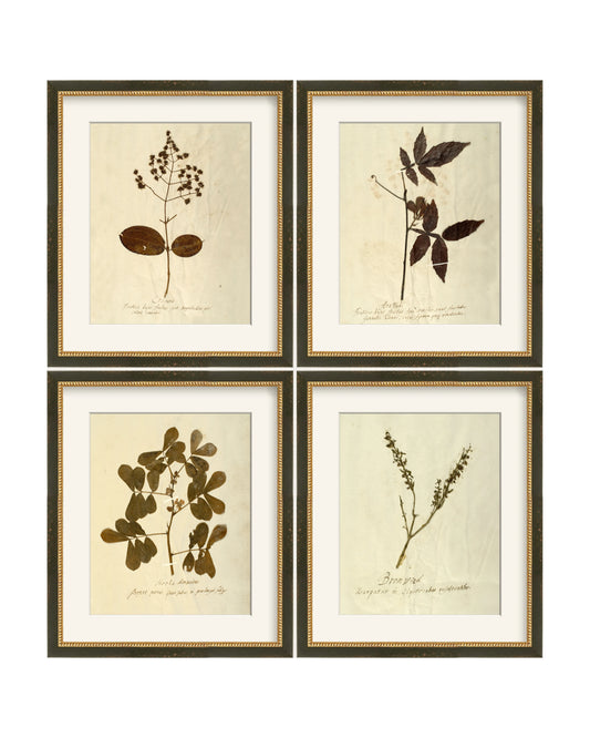 Framed - Vintage Black and Gold - Rag - Warm White Mat / 12 x 14
