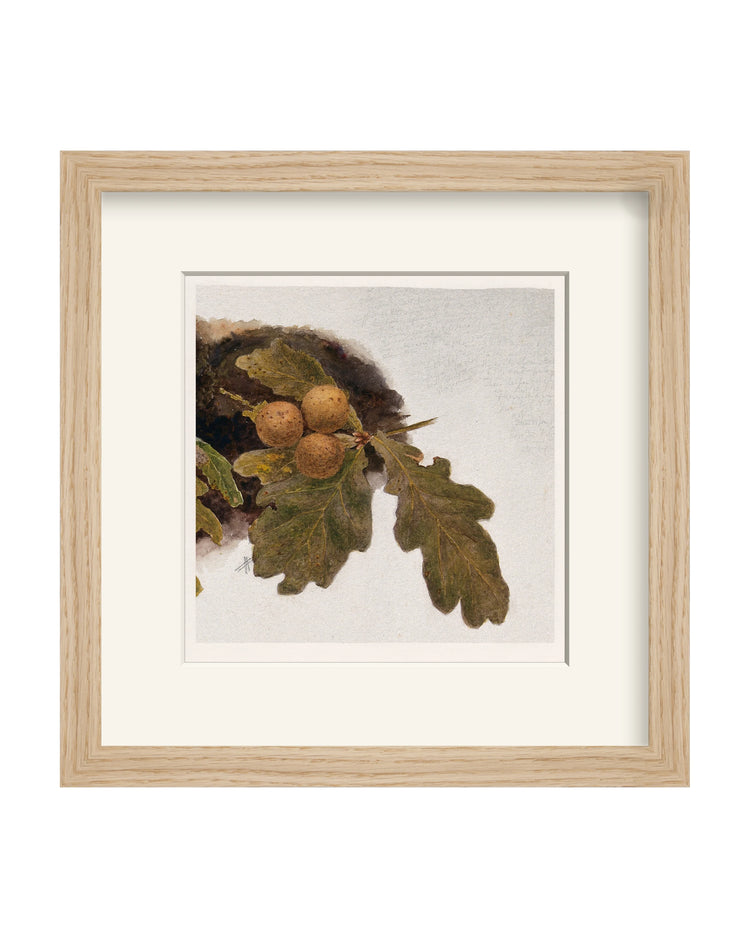 Framed - Matte Oak - Warm White Mat / 11.88 x 12 / Rag