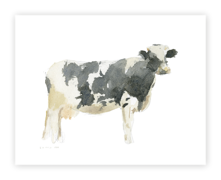 Unframed Smooth Print / 14 x 11