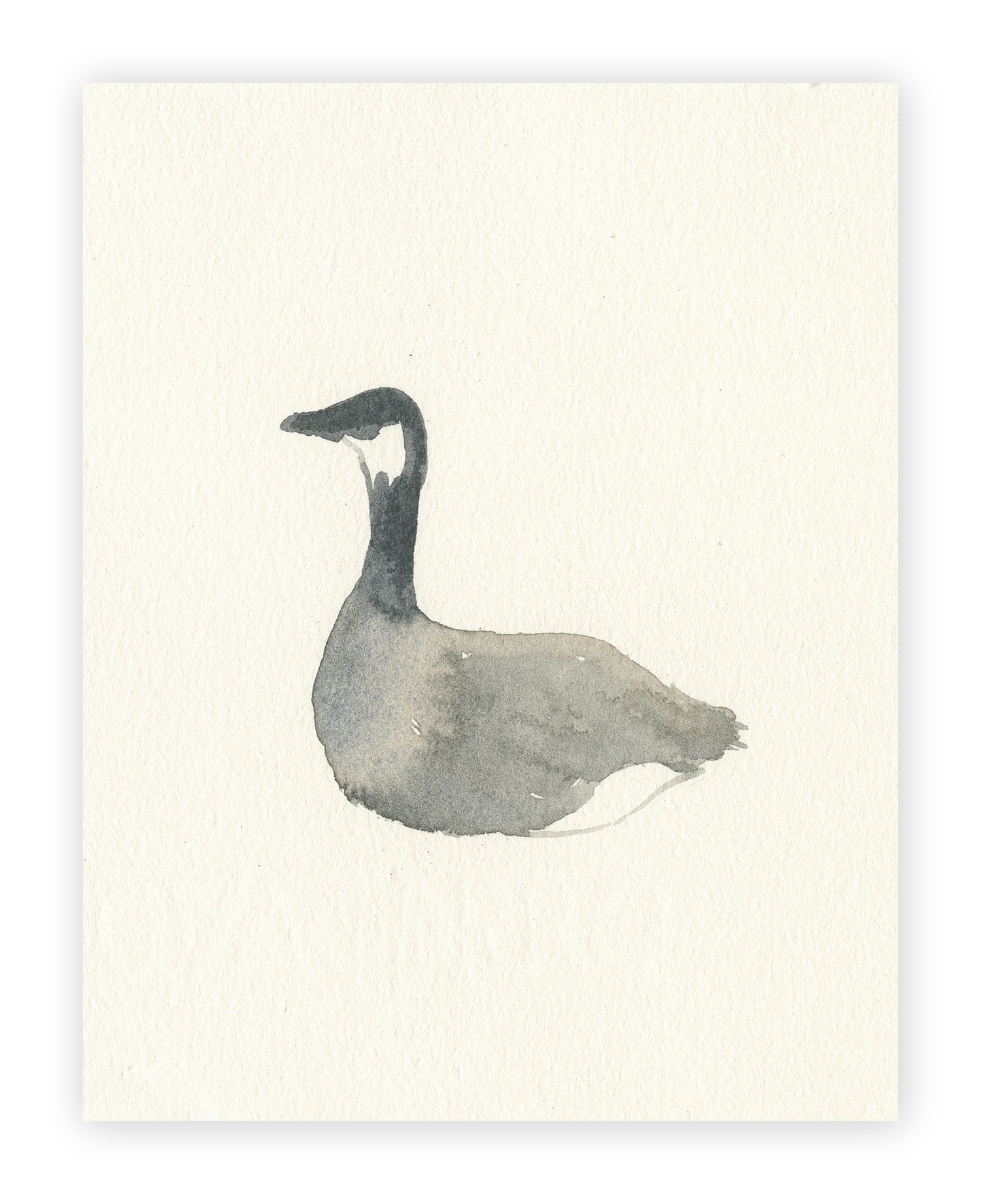 Unframed Smooth Print / 11 x 14