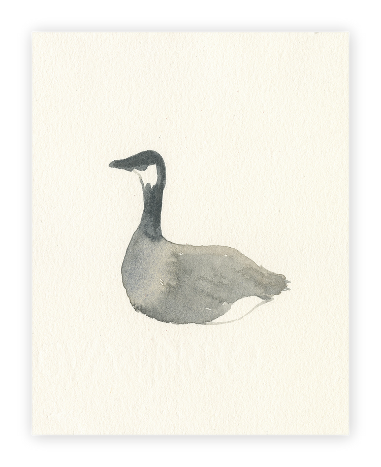 Unframed Smooth Print / 11 x 14