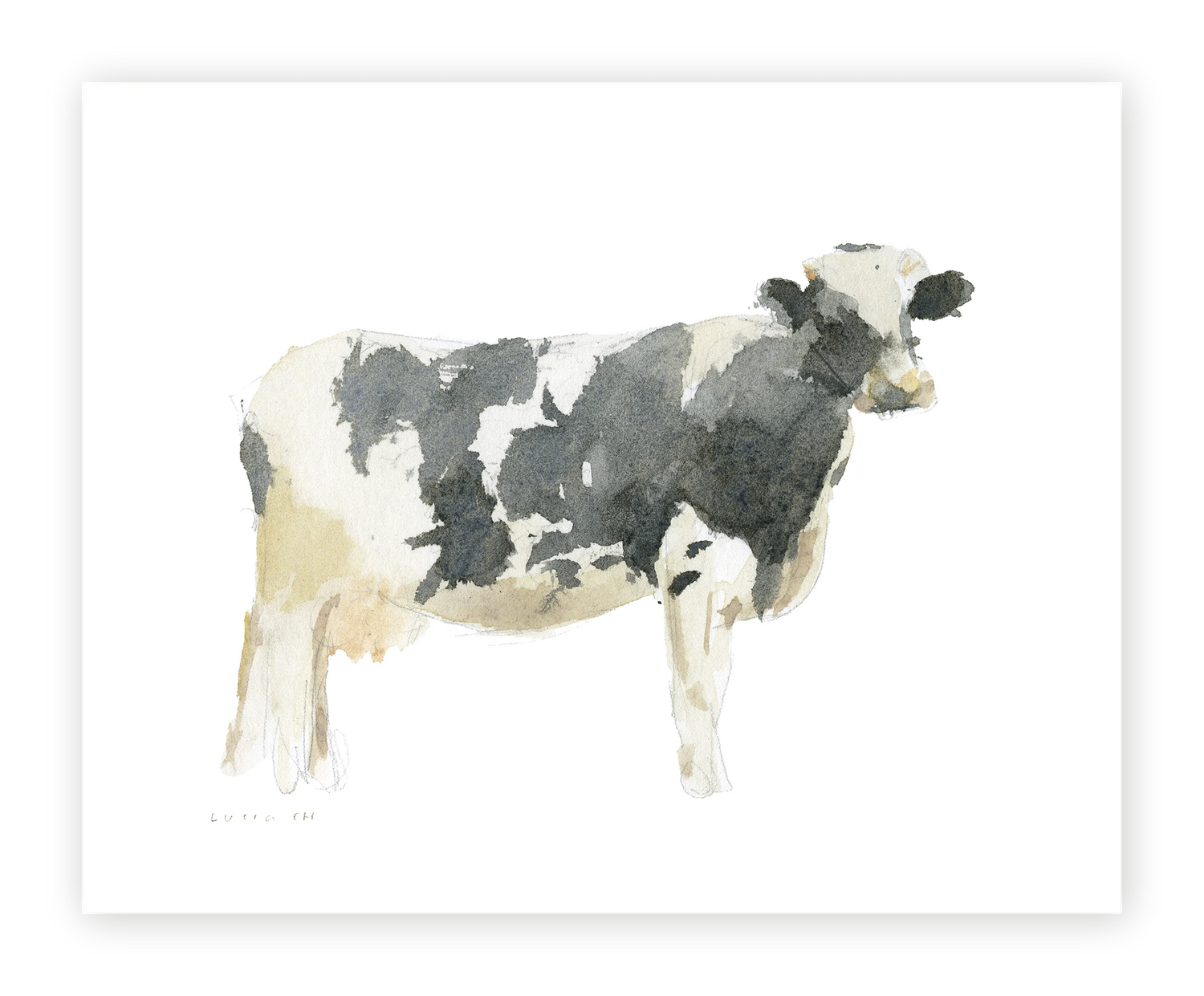 Unframed Smooth Print / 10 x 8