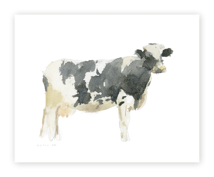 Unframed Smooth Print / 10 x 8