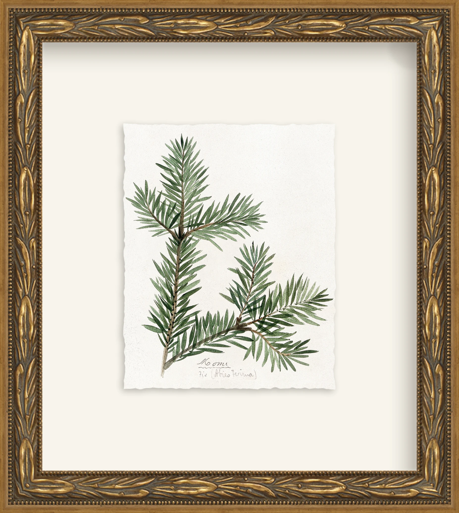Framed - Laurel Gold - Rag - Warm White Mat / 8.5 x 9.5