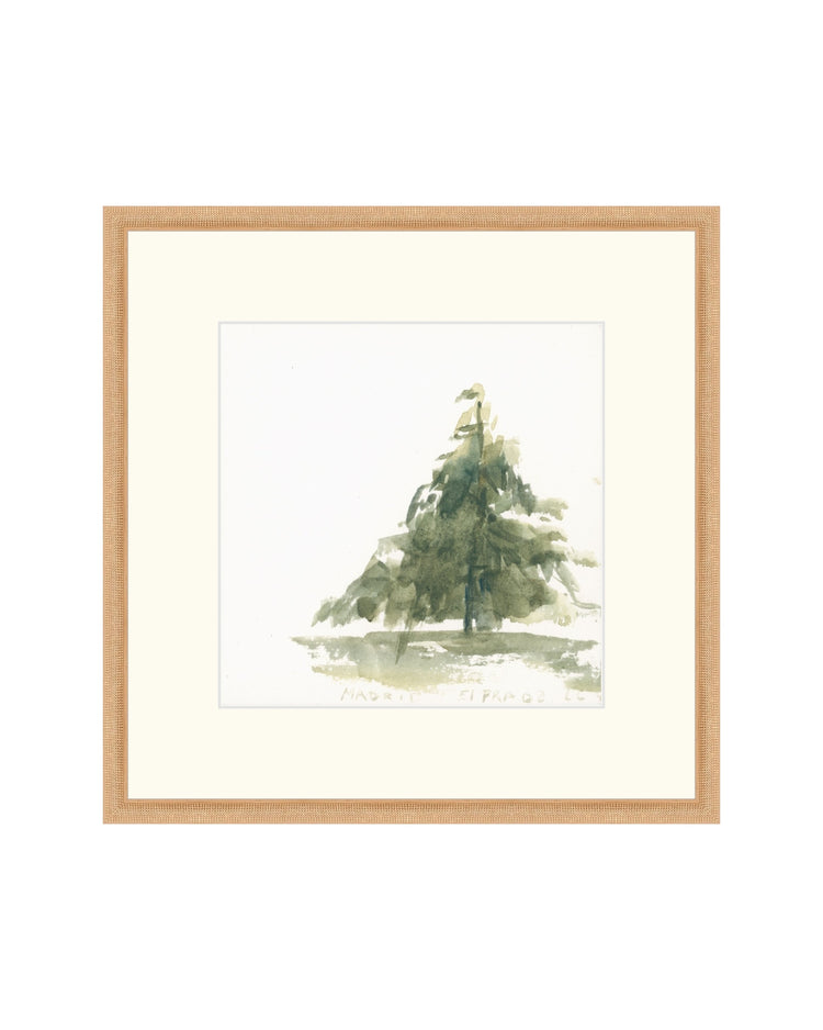 Pine Studies III