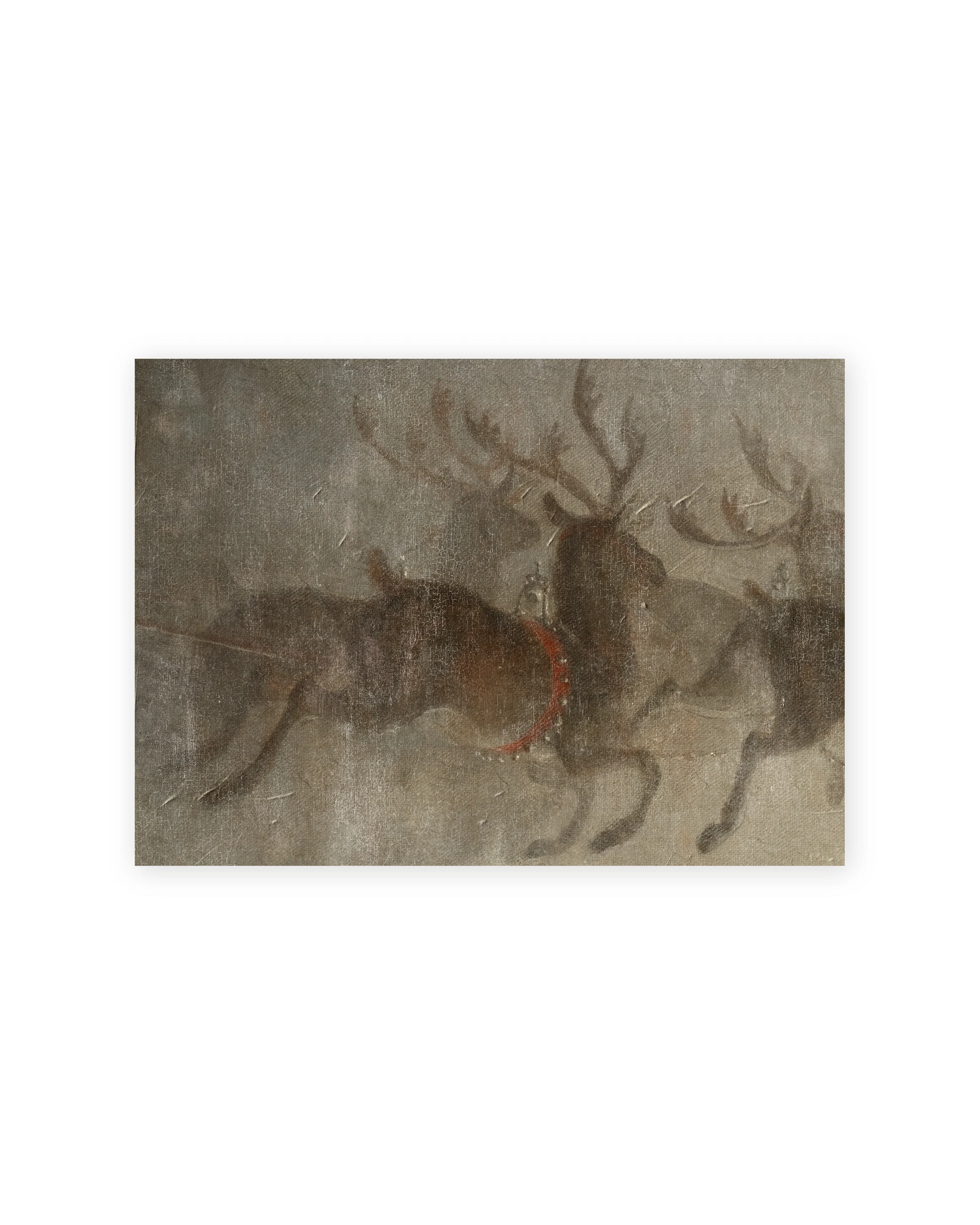 Unframed Smooth Print / 7 x 5