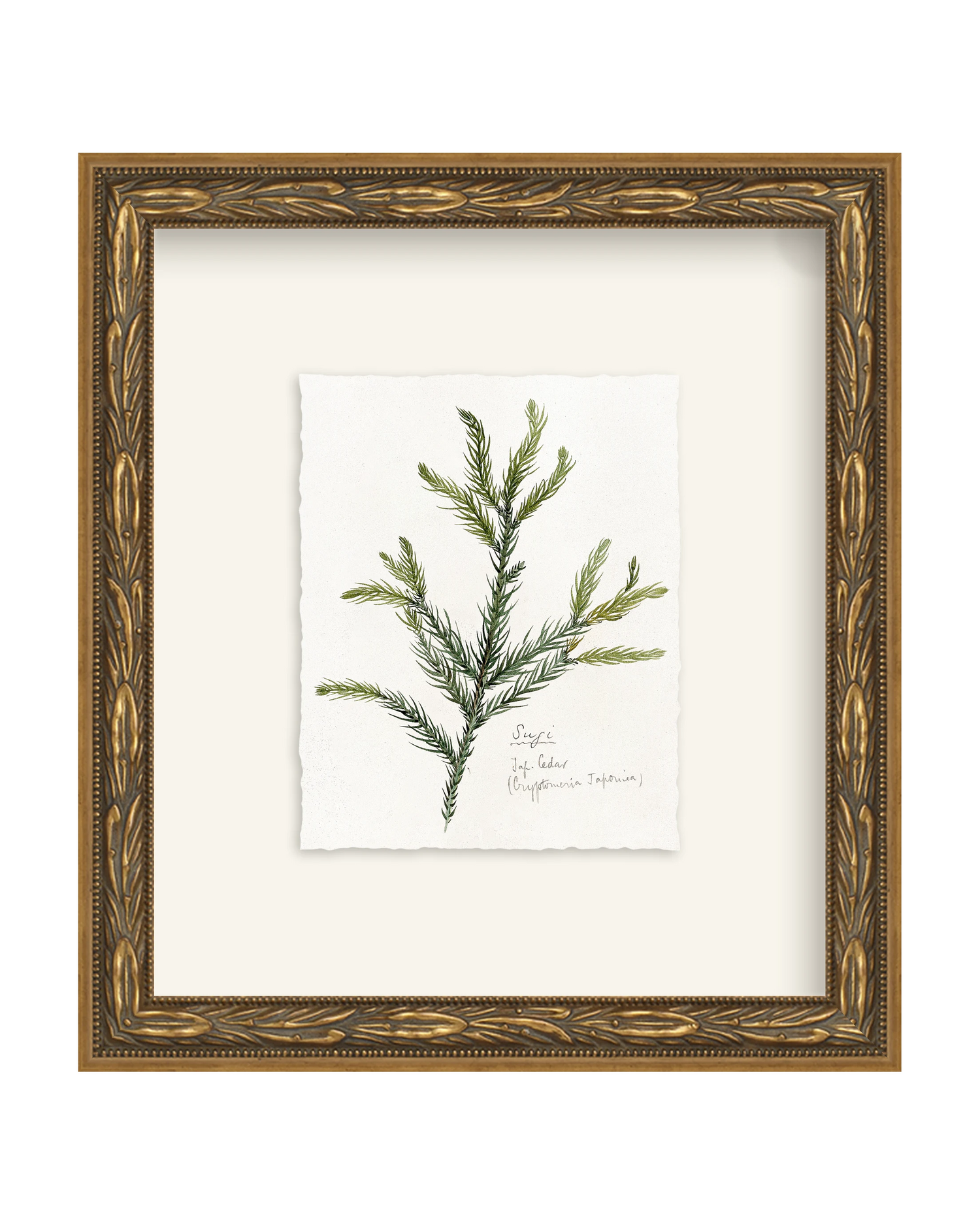 Framed - Laurel Gold - Torchon - Warm White Mat / 8.5 x 9.5