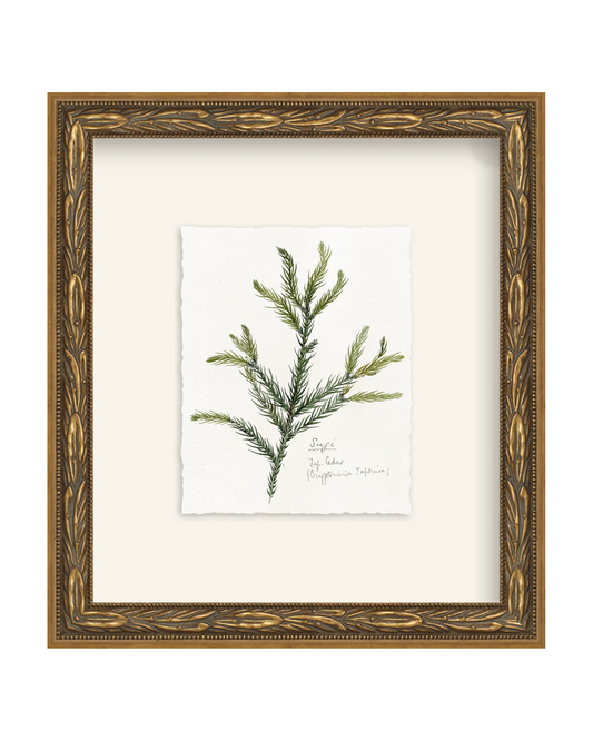 Framed - Laurel Gold - Torchon - Warm White Mat / 8.5 x 9.5