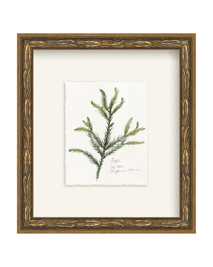 Framed - Laurel Gold - Torchon - Warm White Mat / 8.5 x 9.5