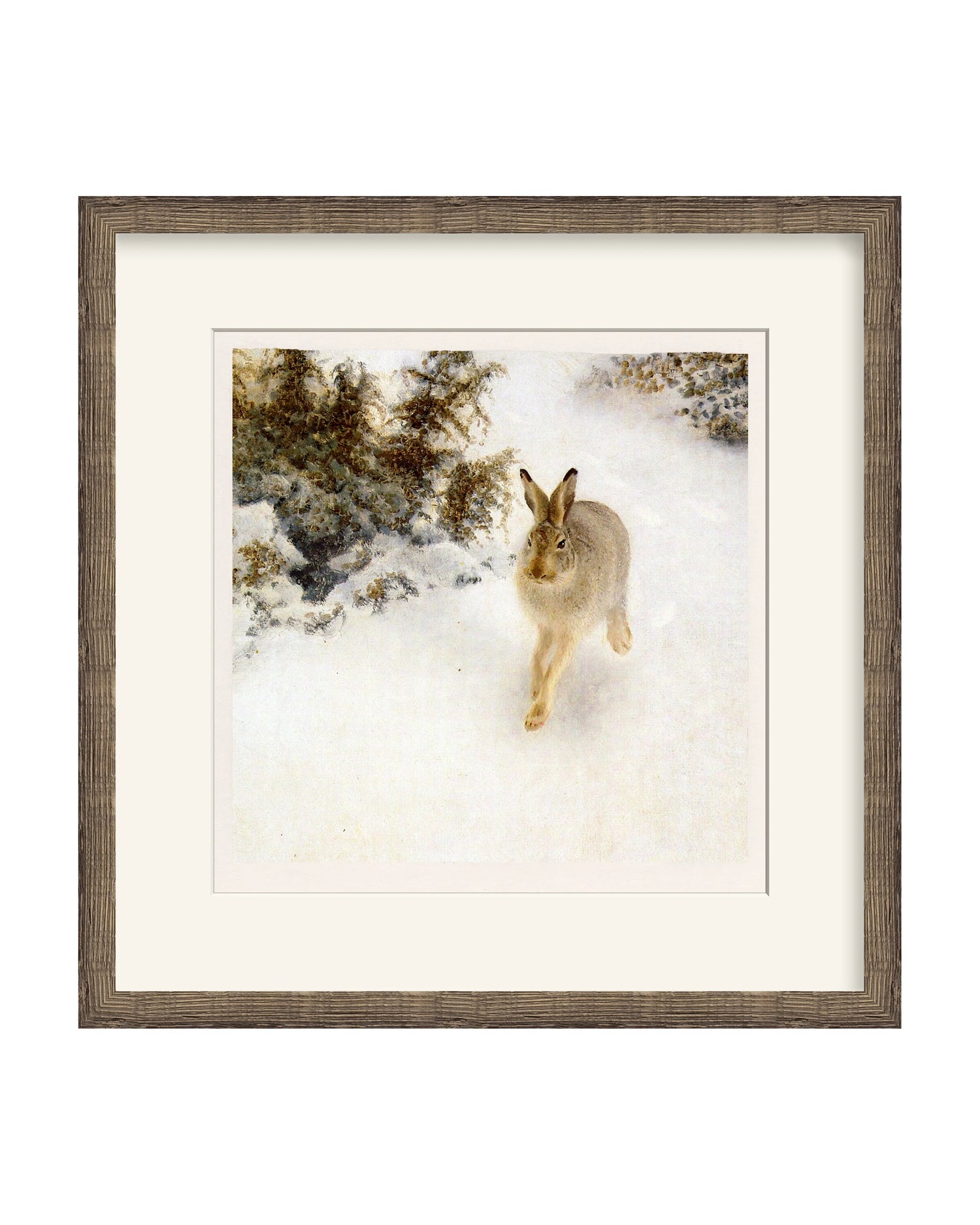 Framed - Driftwood Oak - Warm White Mat / 22 x 22.25 / Rag