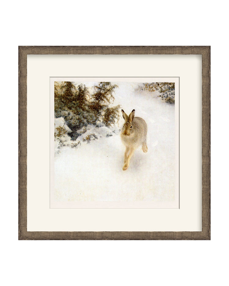 Framed - Driftwood Oak - Warm White Mat / 22 x 22.25 / Rag