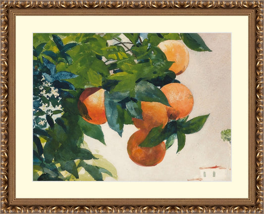 Framed Fruit and Branch. Frame: Gold Ornate. Paper: Rag Paper. Art Size: 12x16. Final Size: 17'' X 21''