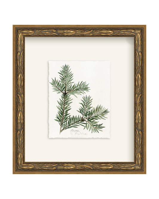 Framed - Laurel Gold - Torchon - Warm White Mat / 8.5 x 9.5