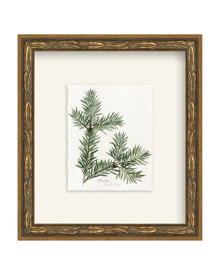 Framed - Laurel Gold - Torchon - Warm White Mat / 8.5 x 9.5