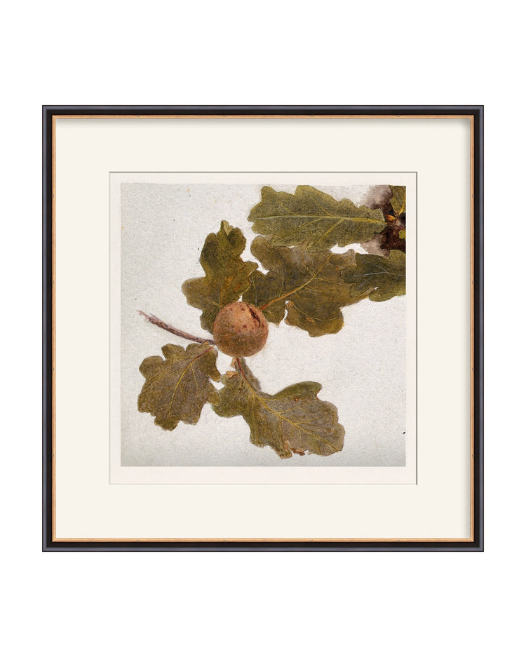 Framed - Traditional Black and Gold - Warm White Mat / 21.25 x 21.5 / Rag