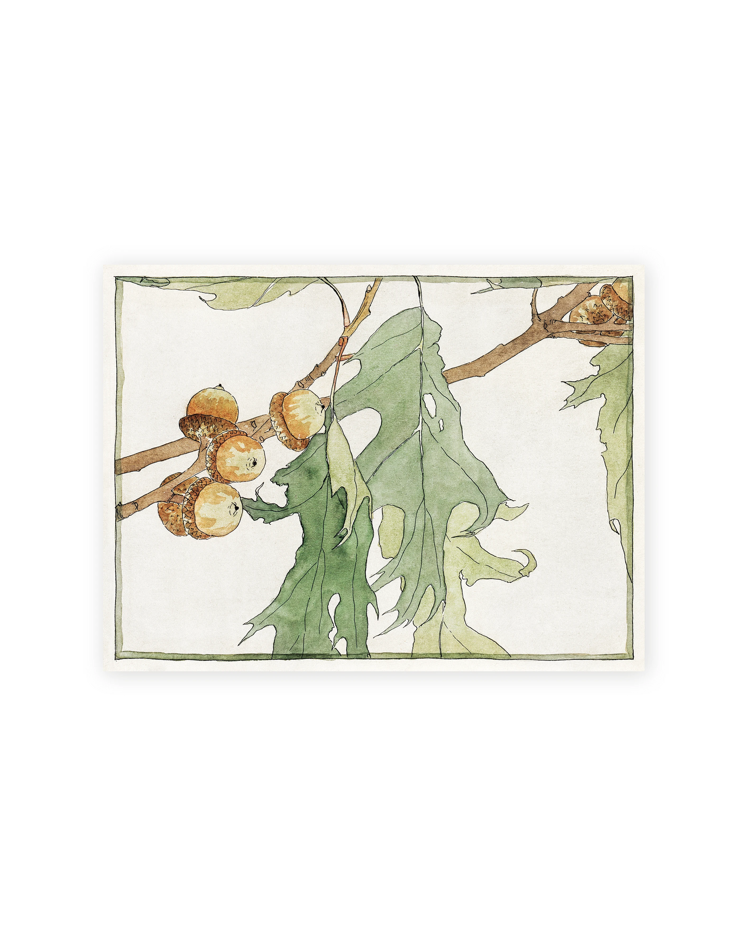 Unframed Smooth Print / 12 x 9