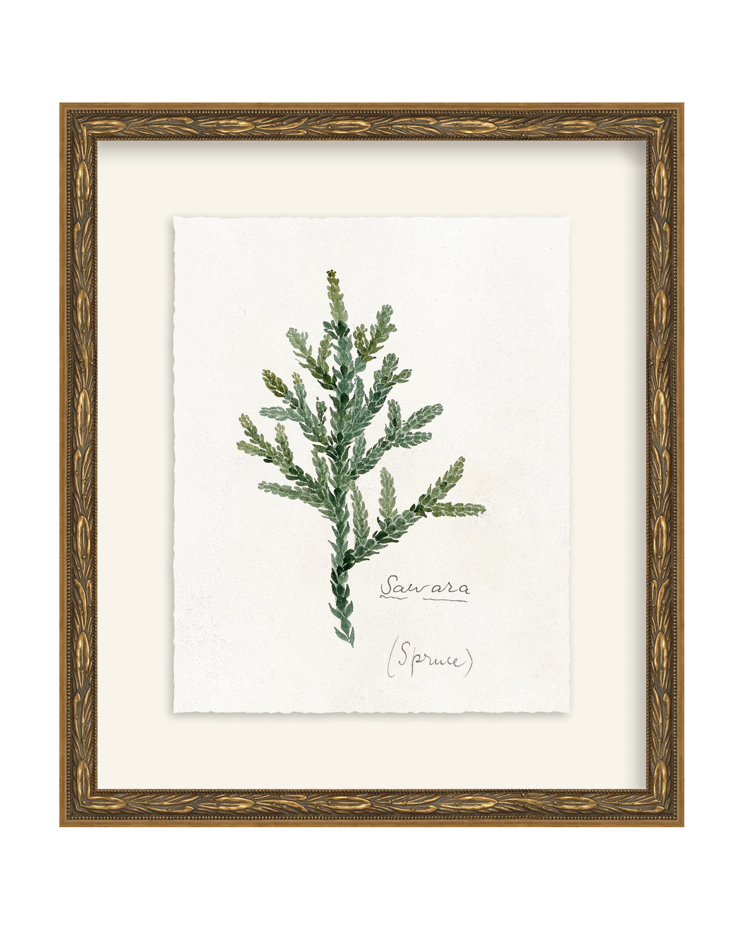 Framed - Laurel Gold - Torchon - Warm White Mat / 12.5 x 14.5