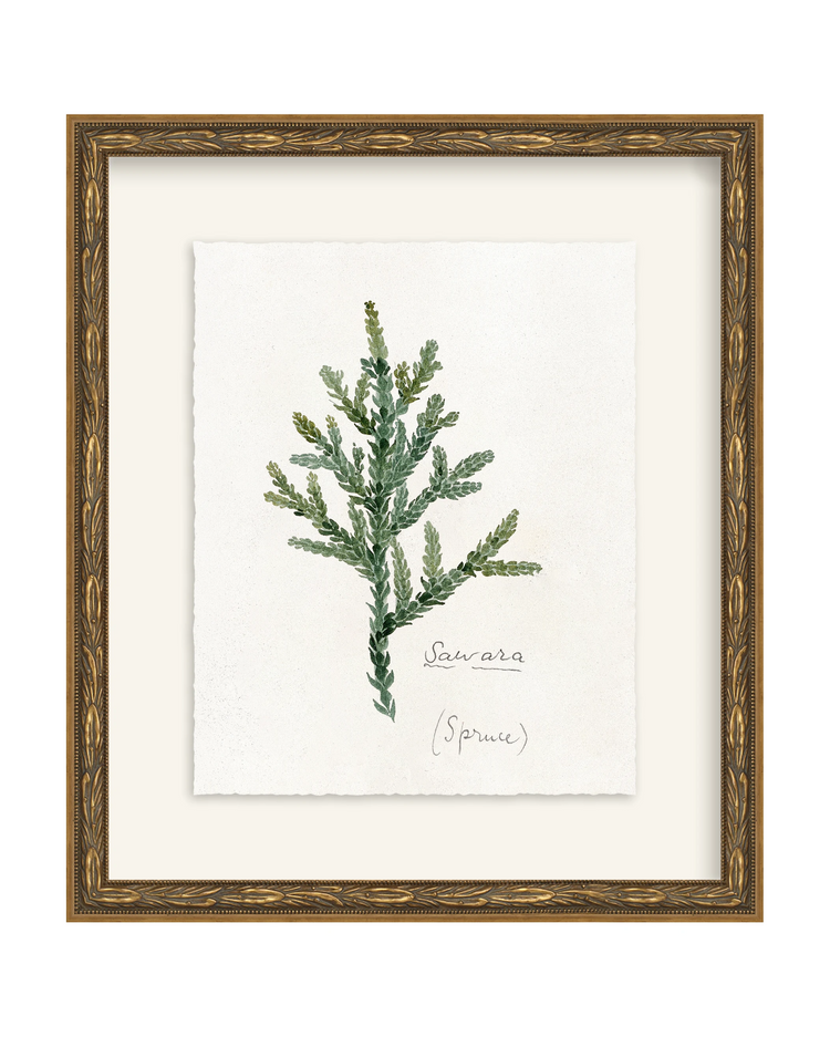 Framed - Laurel Gold - Torchon - Warm White Mat / 12.5 x 14.5