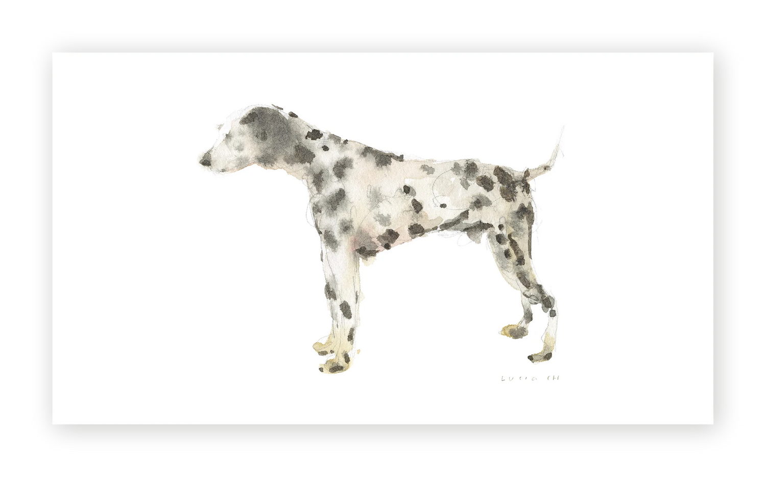 Unframed Smooth Print / 7.11 x 4
