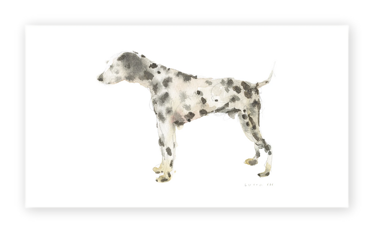 Unframed Smooth Print / 7.11 x 4