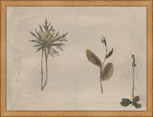 Framed Botanical Thoughts IV. Frame: Aged Gold Beaded. Paper: Rag Paper. Art Size: 12x16. Final Size: 13'' X 17''