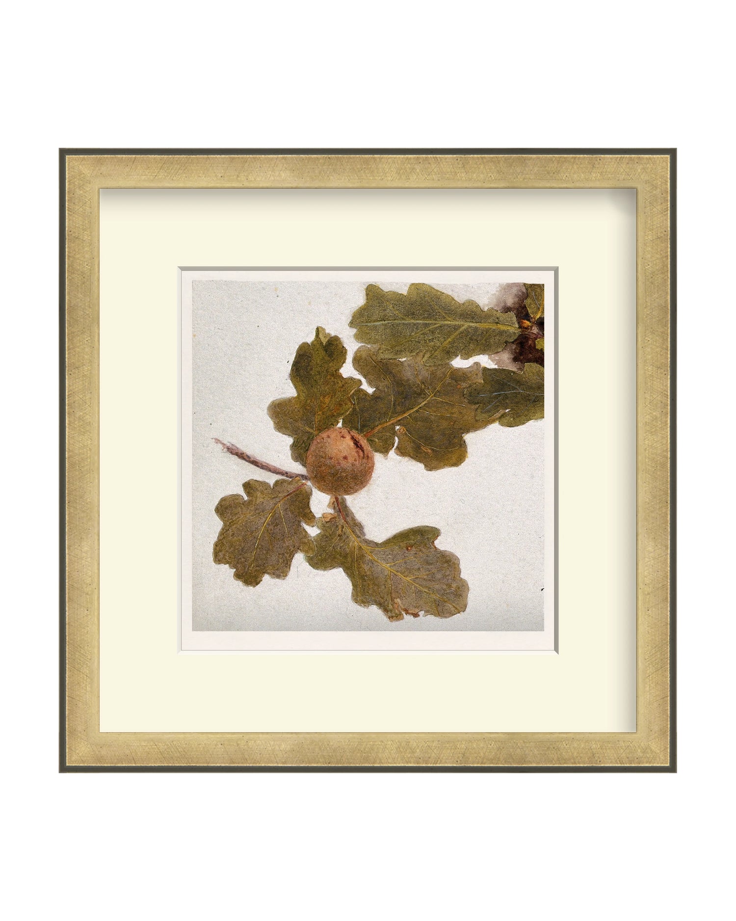 Framed - Atelier Brass - Off-White Mat / 11.88 x 12 / Rag
