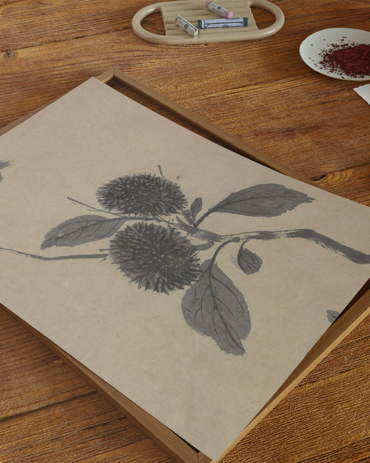 Shadowed Blooms 3