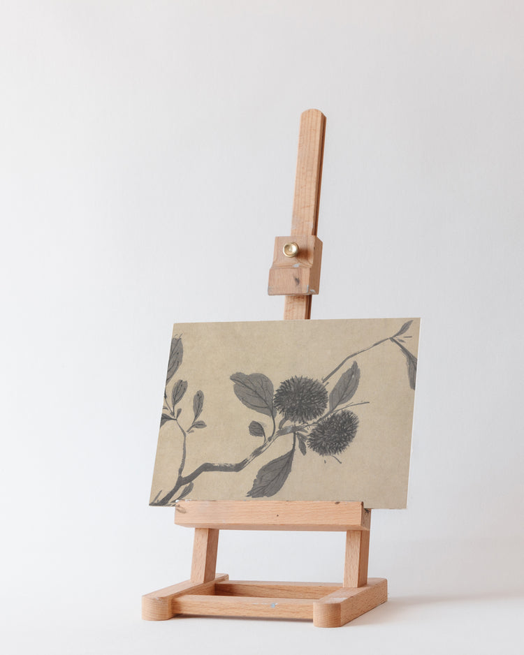 Shadowed Blooms 3