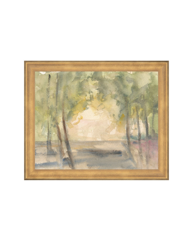 Light Through the Trees