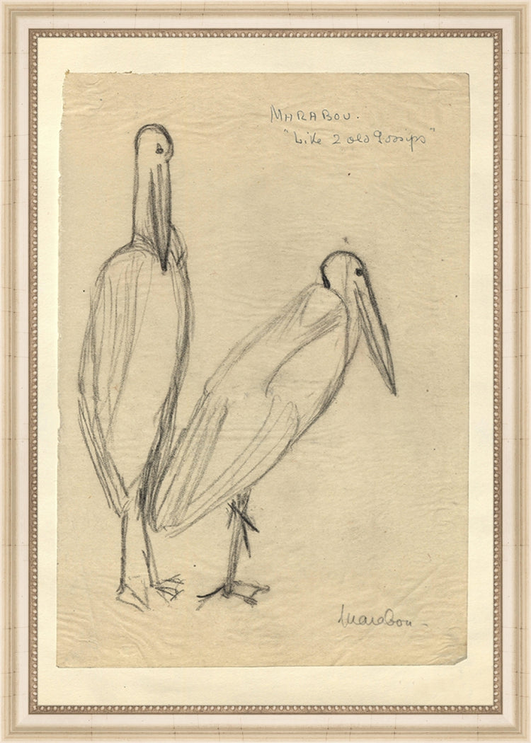 Framed Bird Sketch. Frame: Ivory Beaded. Paper: Rag Paper. Art Size: 16x11. Final Size: 17'' X 12''