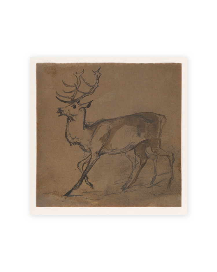 Unframed Smooth Print / 8 x 8