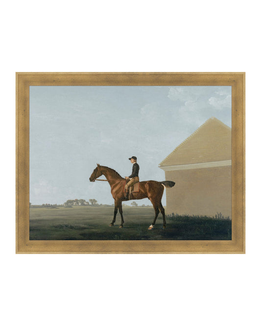 The Country Gentleman