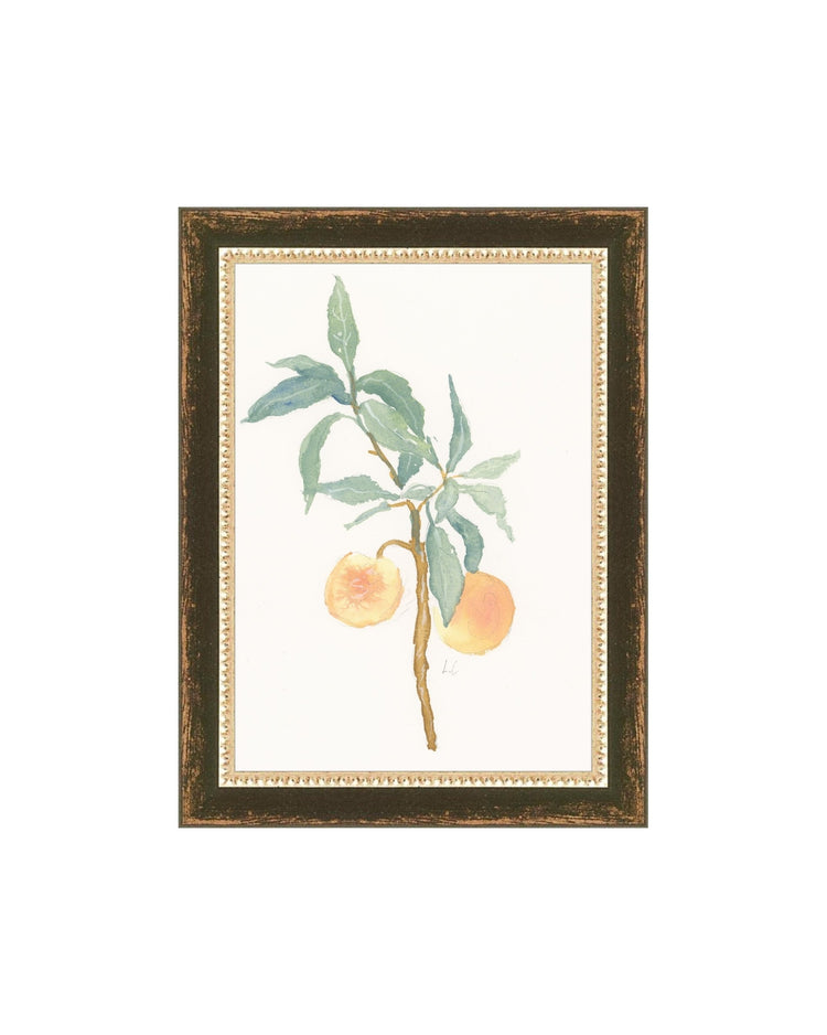 Peach Branch