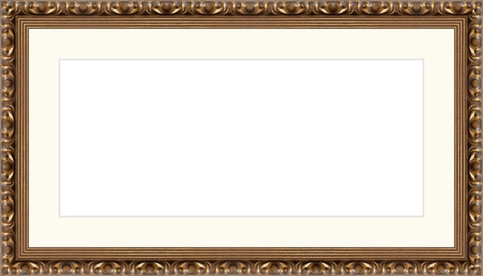 Gold Ornate Frame. Opening Size: 7x16. Final Size: 12'' X 21''
